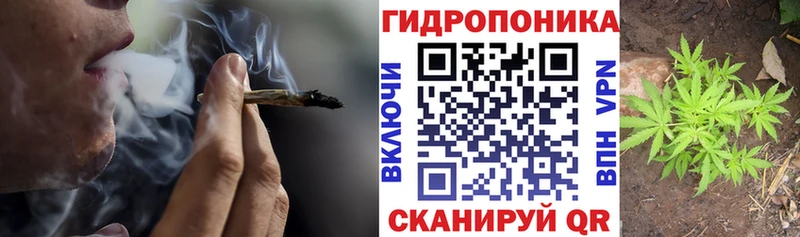 Бошки Шишки конопля  сайты даркнета как зайти  Ачхой-Мартан 